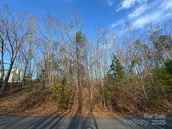 LOT 47 Dublin Ln, Columbus, NC 28722