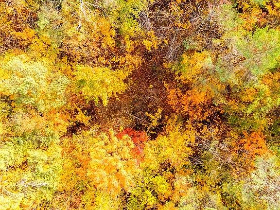 4th image of V/l Par 98 Wildwood Trl