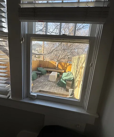 View of the backyard