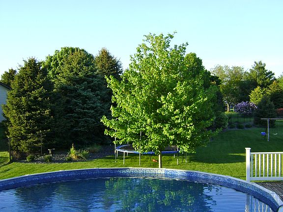 Dough Boy pool & large deck