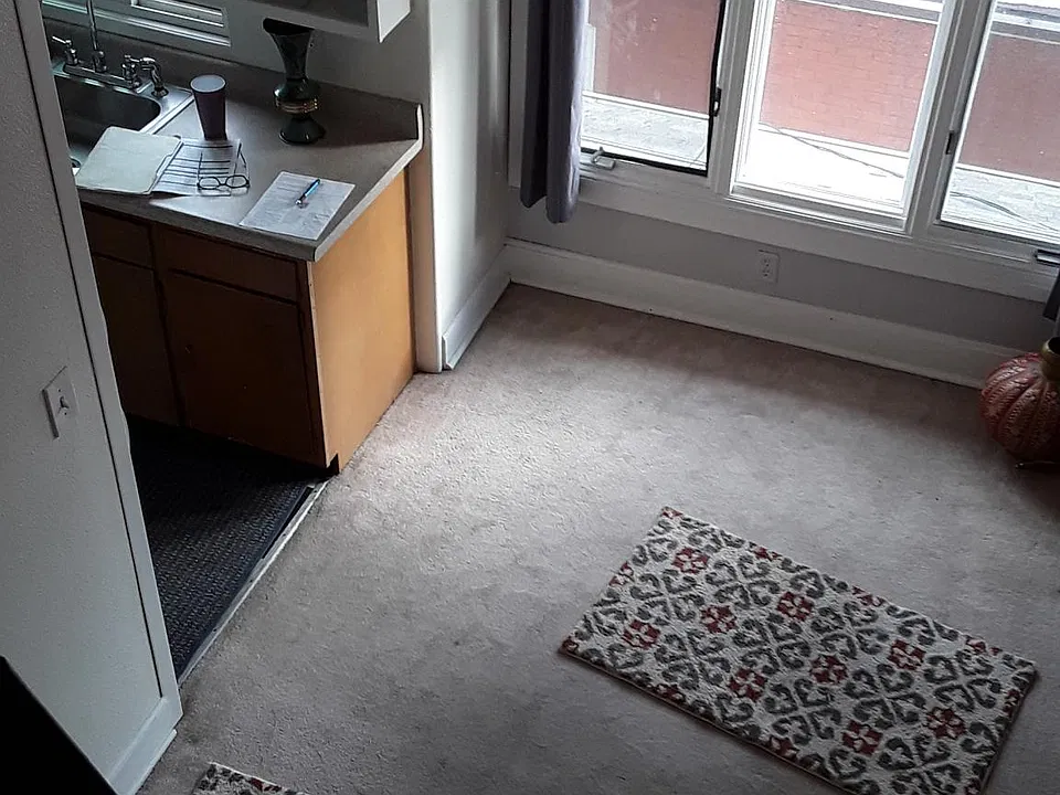 Livingroom now has wood flooring