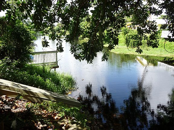 Enjoy water wildlife