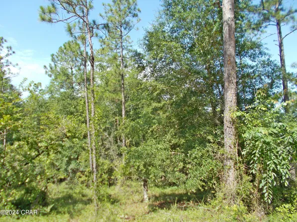 LOT 10 Castle Cir, Alford, FL 32420