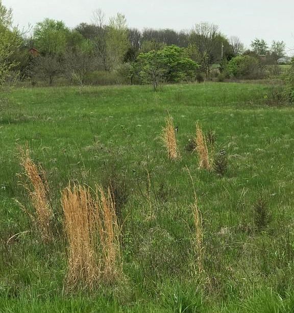 2nd image of 4577 Old Us 35 SE