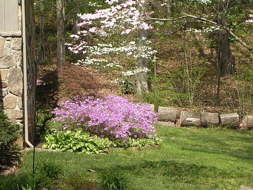 4th image of 321 SW Essex Dr