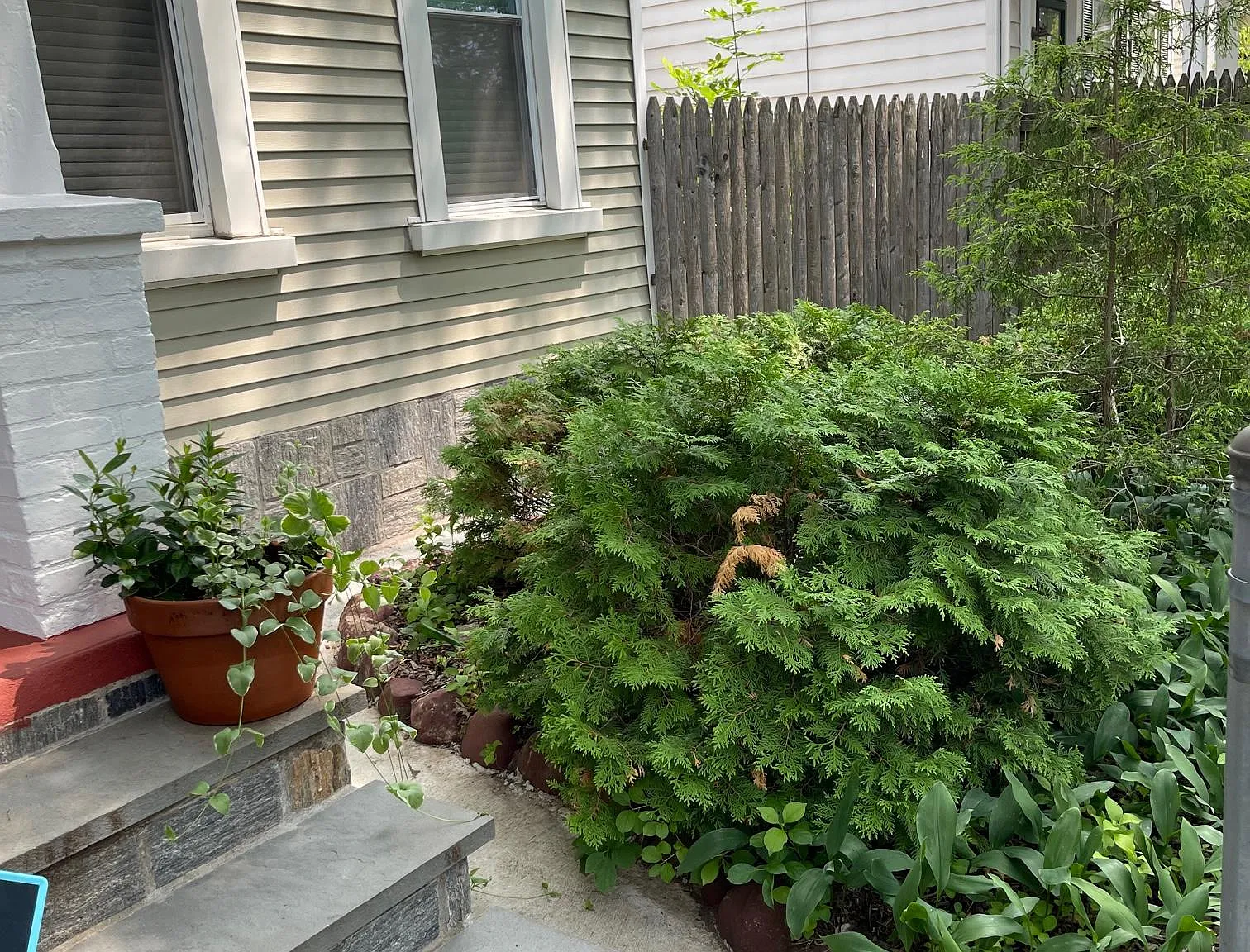 2 bed, 870 sqft, $1,750 — Photo 2