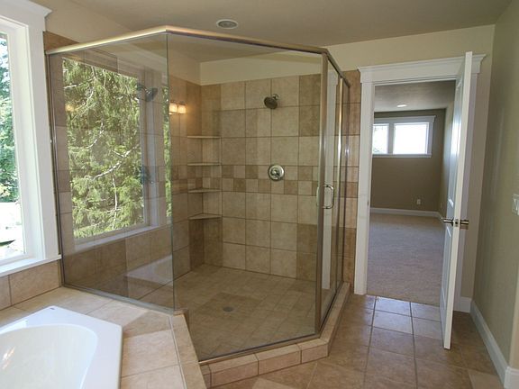 Master Bath Shower & Tub