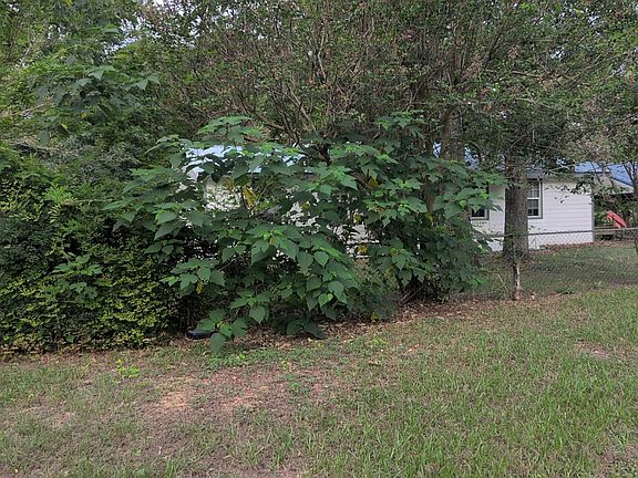 3rd image of 190 Fm 2025 Rd