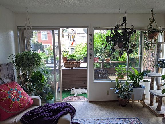4th image of 6525 24th Ave NE APT 1