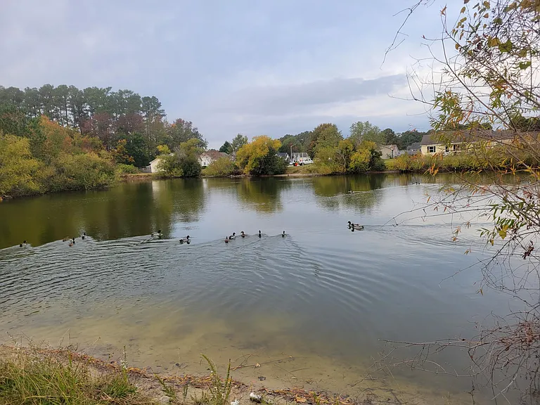 209 Meadowlark Ln — Photo 46