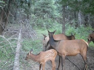 Nka Pokey Creek Rd, Santa, ID 83866