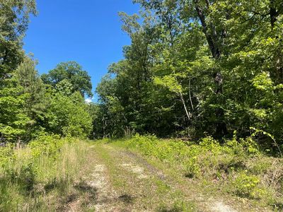 730 Swan Bay Dr, Buchanan, TN, 38222