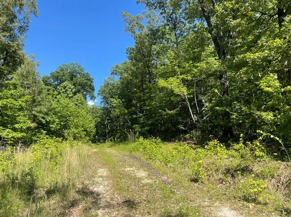 730 Swan Bay Dr, Buchanan, TN 38222