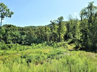 669 Devils Nose Rd, Rogersville, TN 37857