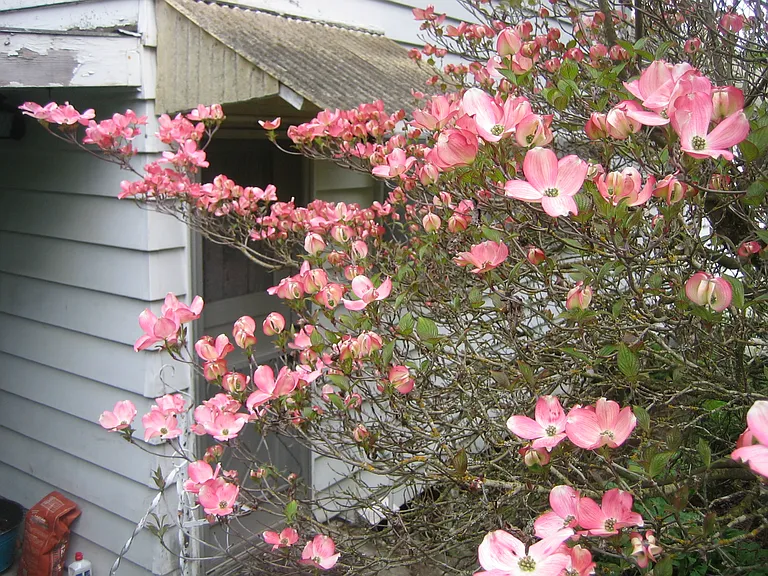 1206 SW Gibbs St #B — Photo 18