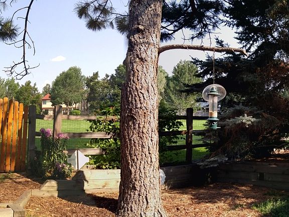 Gate for access to park