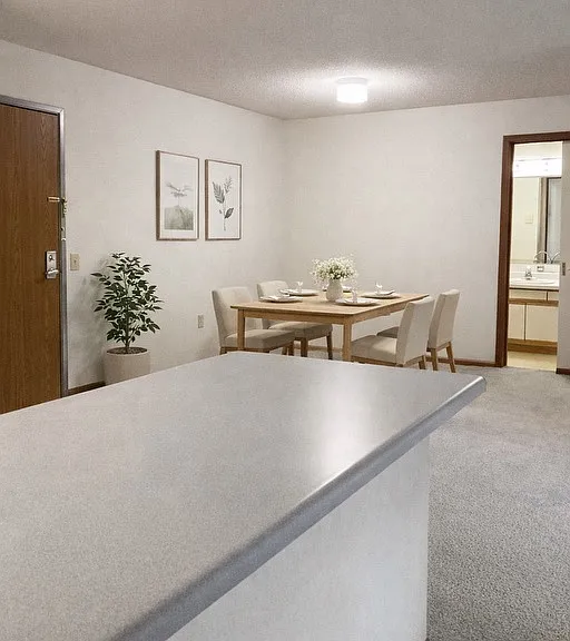 400 11th Ave NE #208 — Photo 4