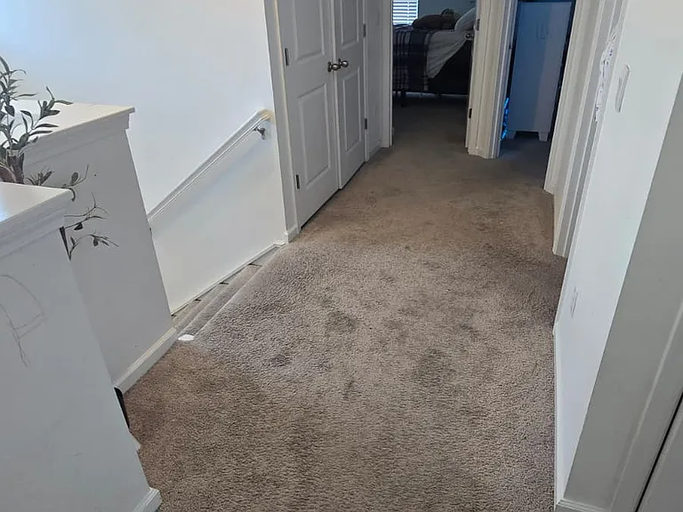 2585 Lamar Dr — Photo 21