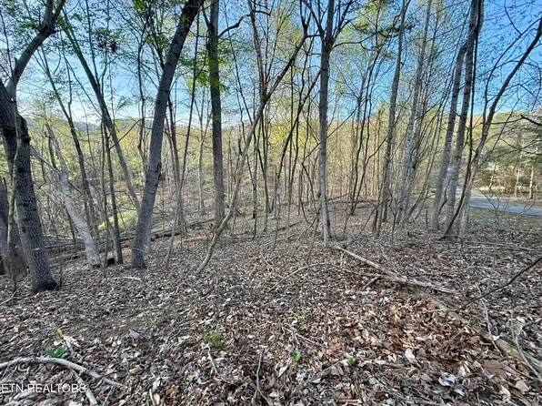 1516 Catoosa Dr, Mooresburg, TN 37811