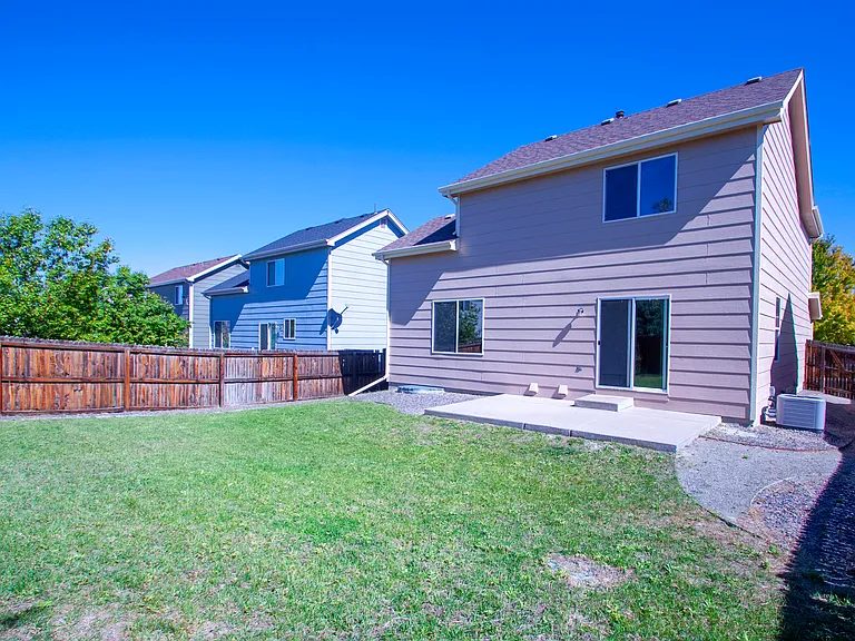 Back Yard 2