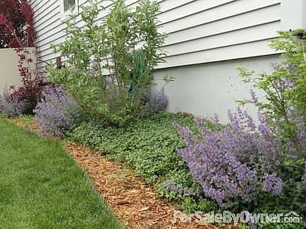 South side seen from back
						:
						Ground cover and butterfly bushes bloom all spring and summer season