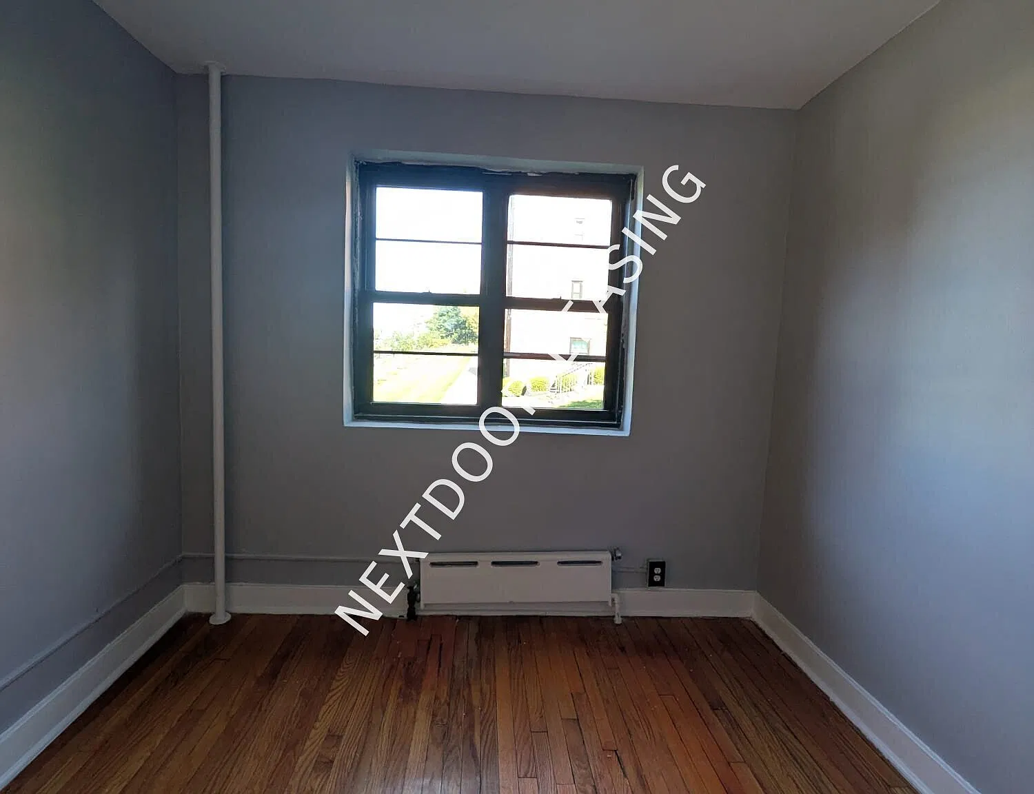 75 Belgrove Dr — Photo 4