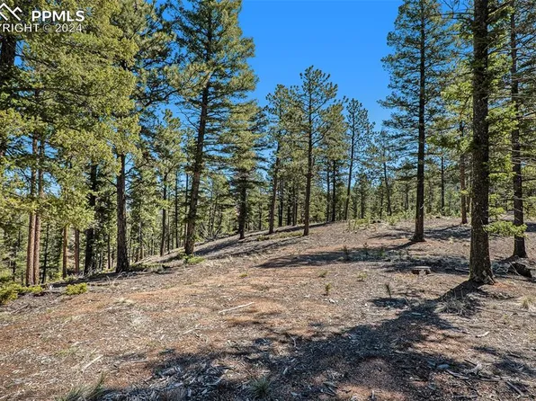 492 Nichole Grv, Woodland Park, CO 80863