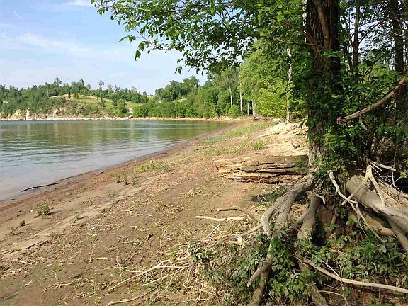 4th image of 11 Sawmill Branch Ln Lot 11