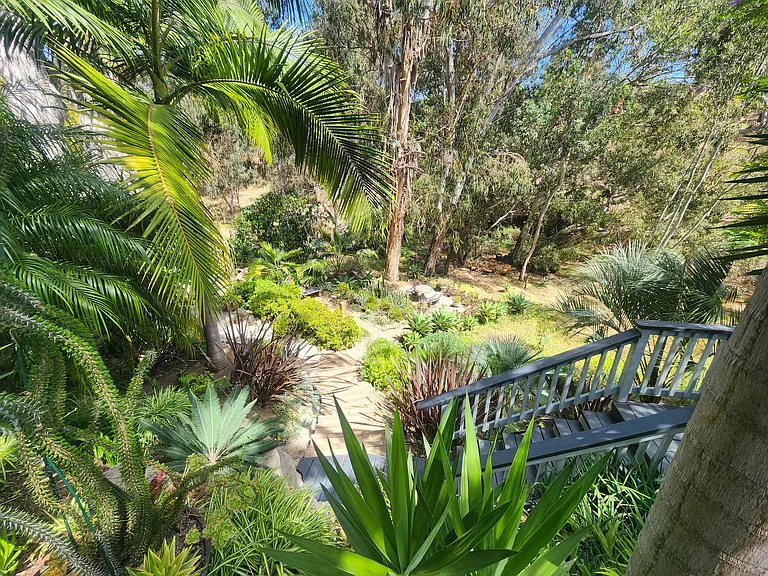 View from patio