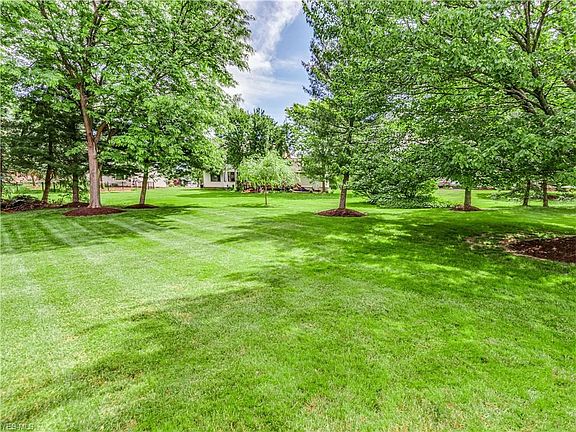 5th image of 460 Belmont Park Dr