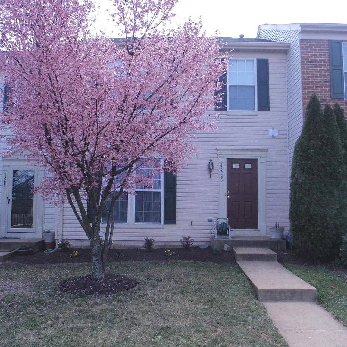 3 bed, 3.5 bath, 1804 sqft, $2,700 — Photo 2