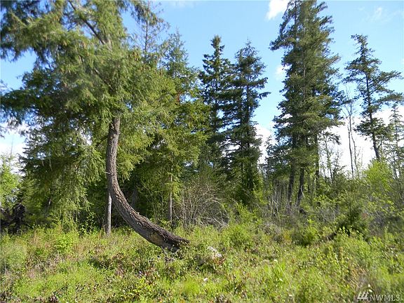 3rd image of 44703 Nisqually Ridge Dr E