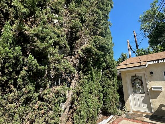 4th image of 11909 Riverside Dr