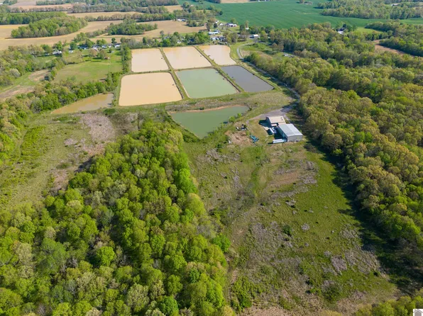 11525 State Route 97, Farmington, KY 42040