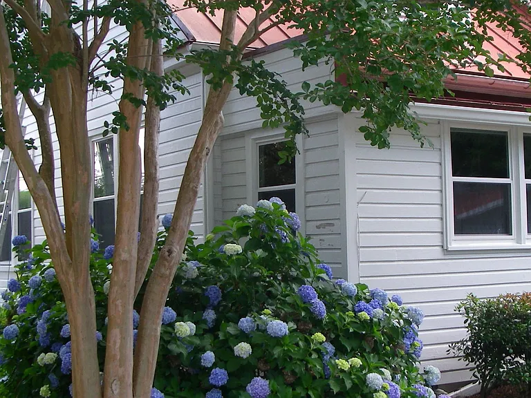Back of house