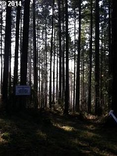 4th image of 18675 SW Forest Park Rd