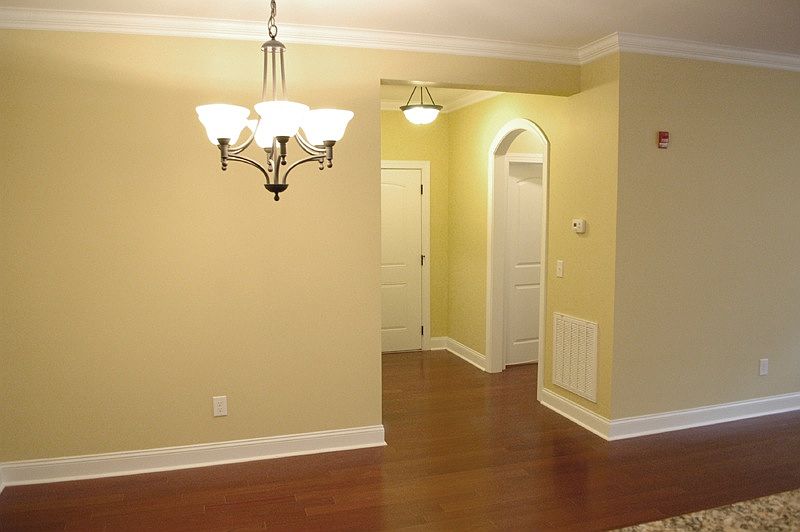 View from kitchen