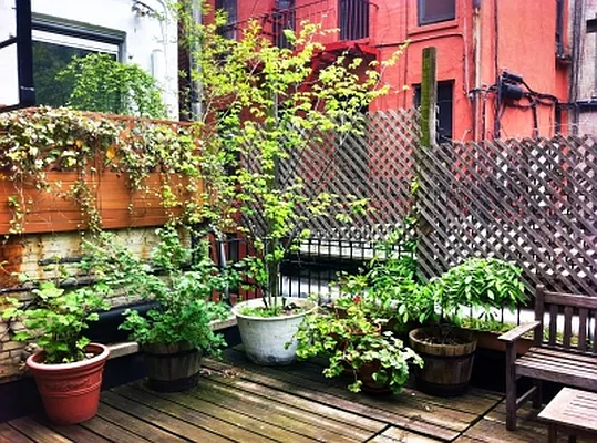 Rented by Corcoran | media 11