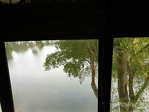 F1278986_501_73