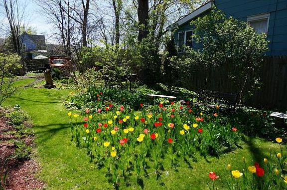 2nd image of 219 Cleveland Ave