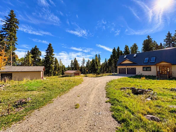 215 Pleasant Meadow, Angel Fire, NM 87710