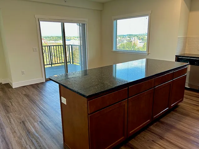 2 bed, 1100 sqft, $2,495 — Photo 4