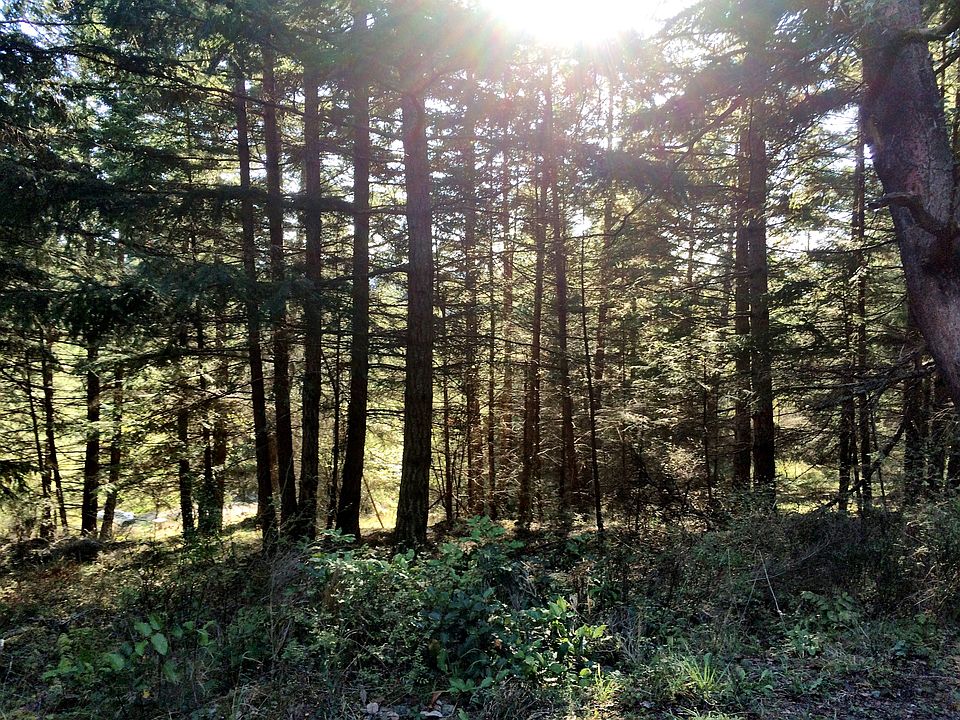 1st image of 0 Highlands Dr