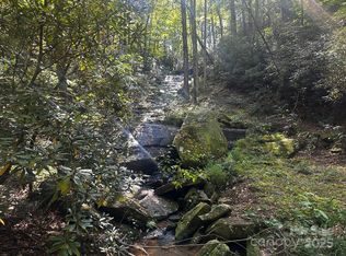 0 Moss Hill Ln, Lake Lure, NC 28746