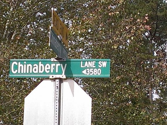 5th image of 3567 Chinaberry Ln