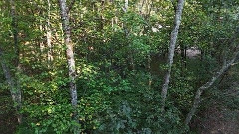 1st image of 0 Lower River Rd NW