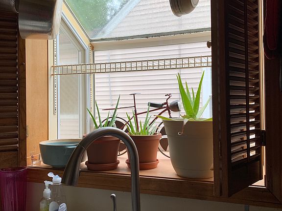 Garden window