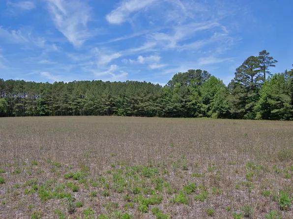 1 G F Ball Rd Lot 1, Louisburg, NC 27549