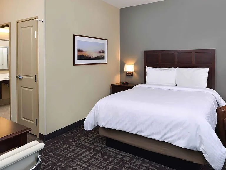 Studio Suite - 1 Queen Bed