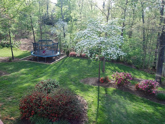 BACK YARD IN SPRING